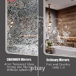 65X22 Full Length Mirror Wall Mounted, Large Rectangle Silver Bathroom Mirror, F