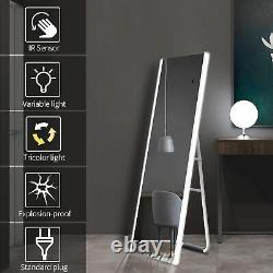 Floor Mirror with LED Lights Free Standing or Wall Mount Large Mirror 59x20 inch