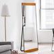 Full Length Mirror 65X22 Floor Mirror with Stand Large Mirror Bedroom/Locker R