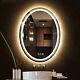 Large Antifog Oval LED Bathroom Mirror Wall Makeup Shaving Mirror Light Dimmable