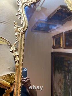 Large Stunning Italian Art Lore Wall Mirror- 56.5 Tall x 23.5 Wide x 2.5 Deep