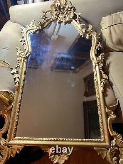 Large Stunning Italian Art Lore Wall Mirror- 56.5 Tall x 23.5 Wide x 2.5 Deep