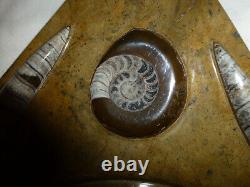 Rare Large Shell Polish Fossils Marble Orthoceras&Ammonite Sculpture Wall Mirror