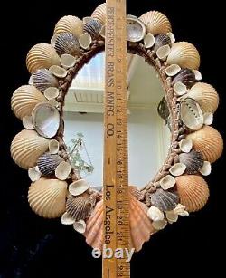 Vintage Seashell Mirror Large Oval Abalone Scallops Beach Cottage Decor 18 x 23